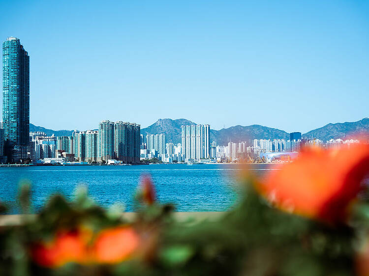 Your Centric Guide to North Point: Hong Kong old-school eats, harbour views and exploring tips
