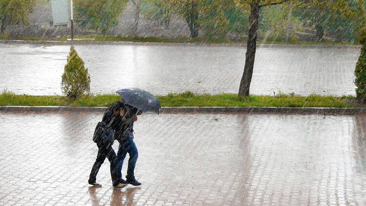 Durban is bracing for disruptive rainfall from tomorrow. Durban is bracing for disruptive rainfall from tomorrow.