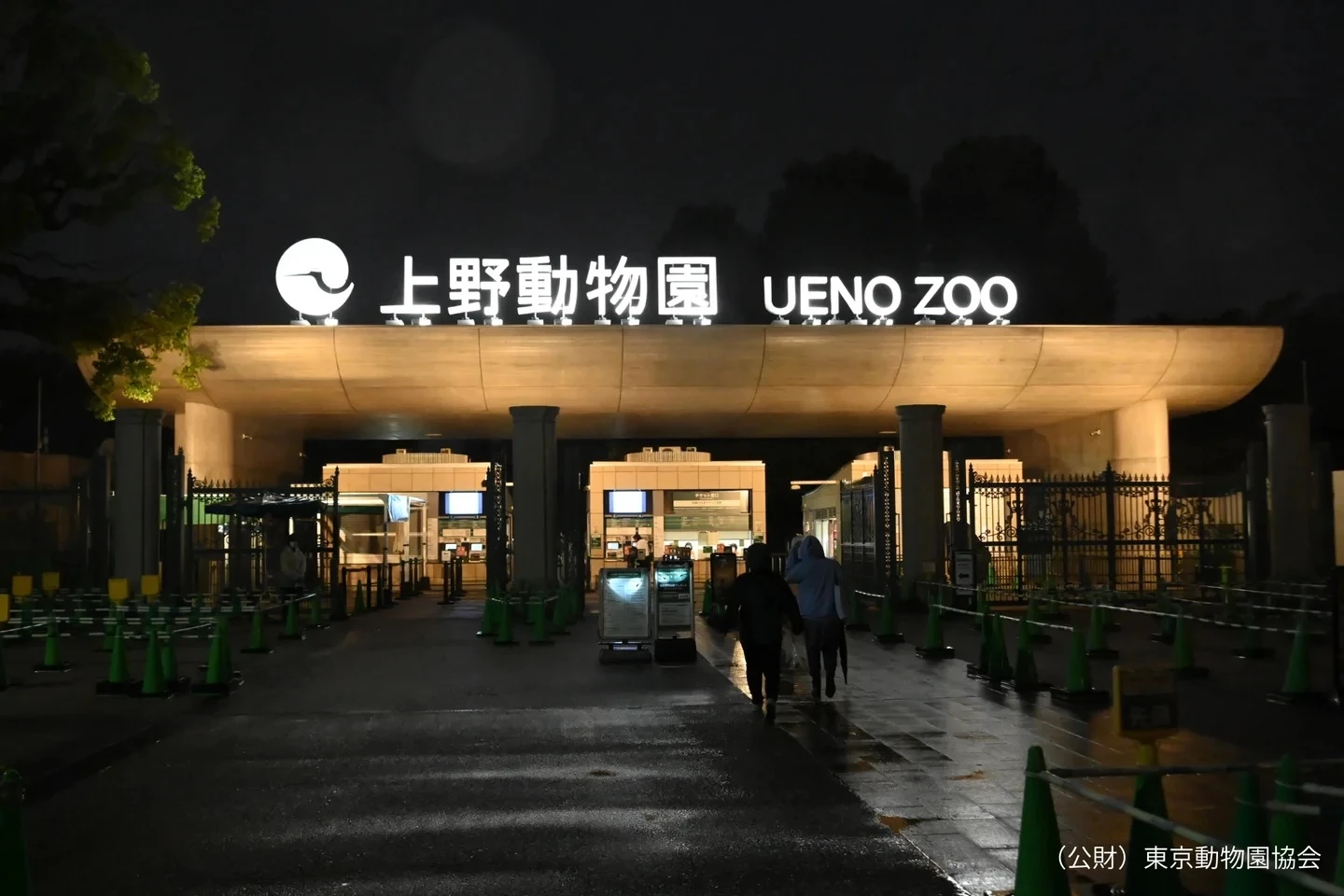 秋の夜のどうぶつえん