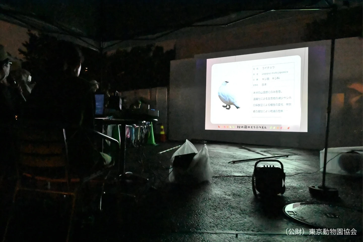 秋の夜のどうぶつえん