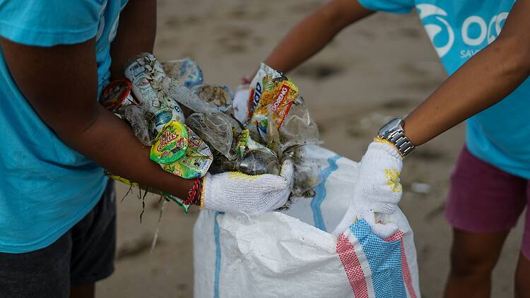 Ready to give our coastline a little love? International Coastal Cleanup Day takes place in September, with clean-up events happening at Beachwood Mangroves, Umhlanga and Scottburgh. Ready to give our coastline a little love? International Coastal Cleanup Day takes place in September, with clean-up events happening at Beachwood Mangroves, Umhlanga and Scottburgh.