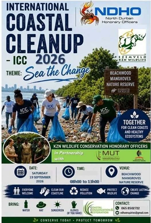 Cleaning up the mangroves is a great way to support the initiative. 