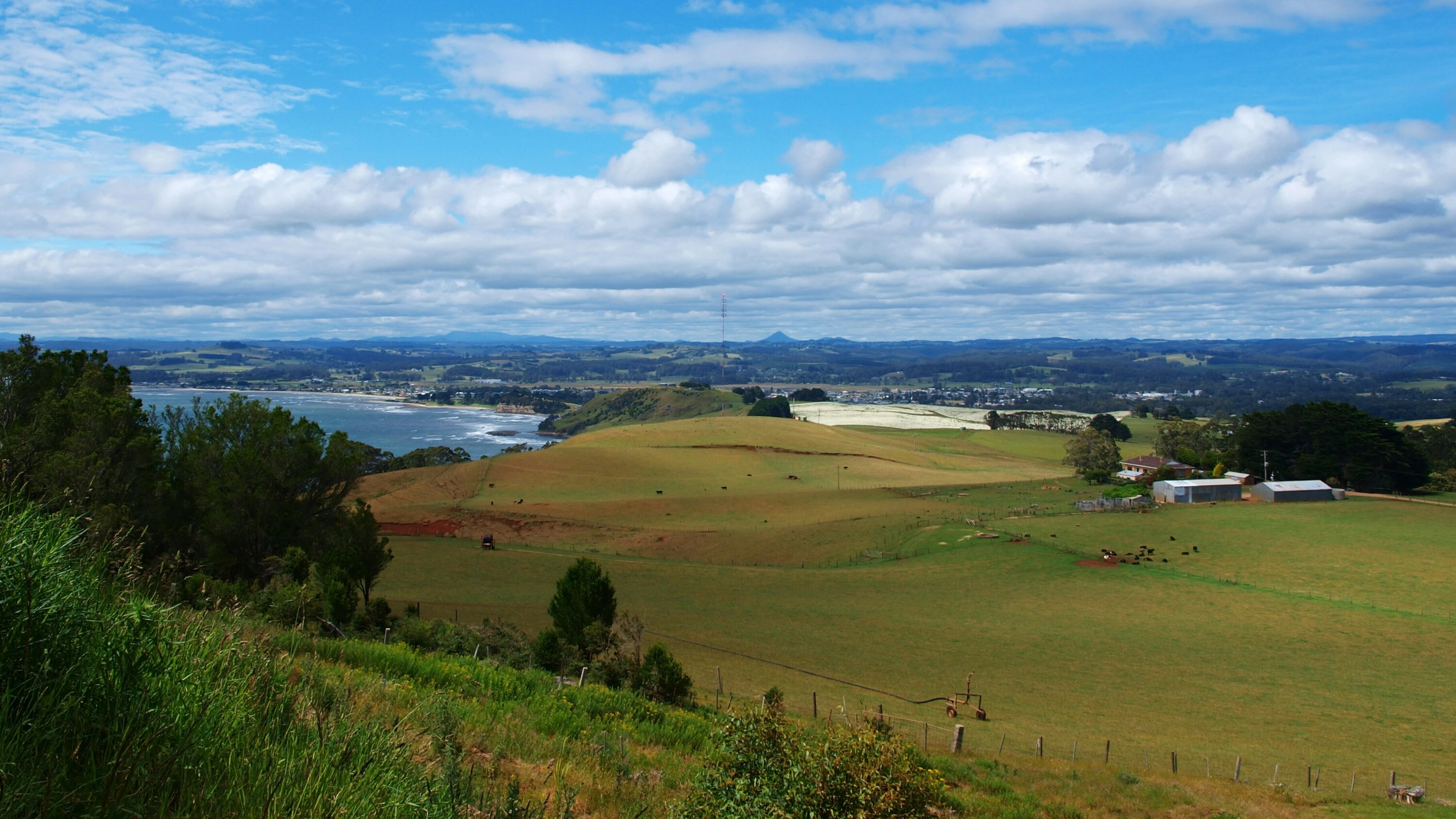 Green pastures with cows grazing