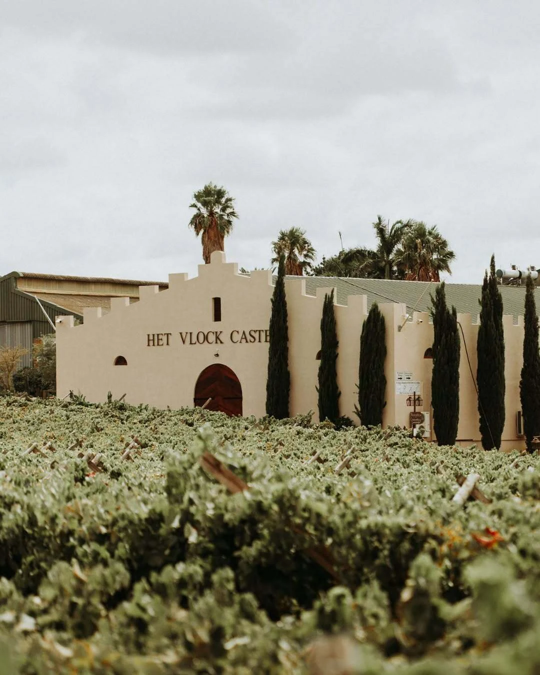 Swartland Olive Festival