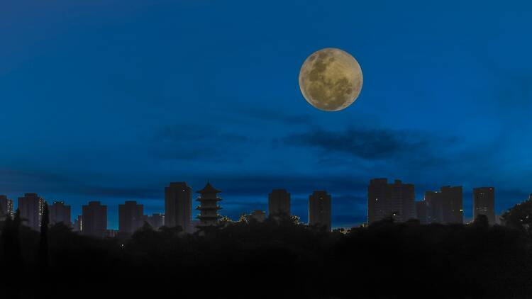 Start with a moonlit stroll