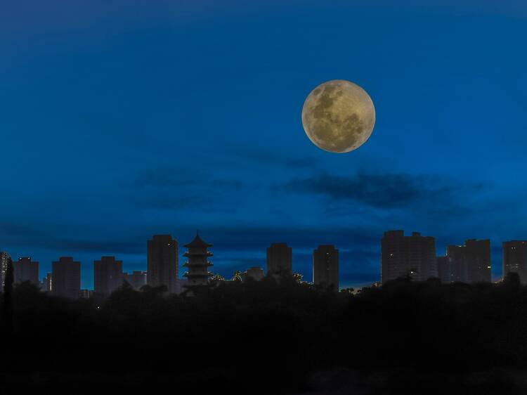 Start with a moonlit stroll