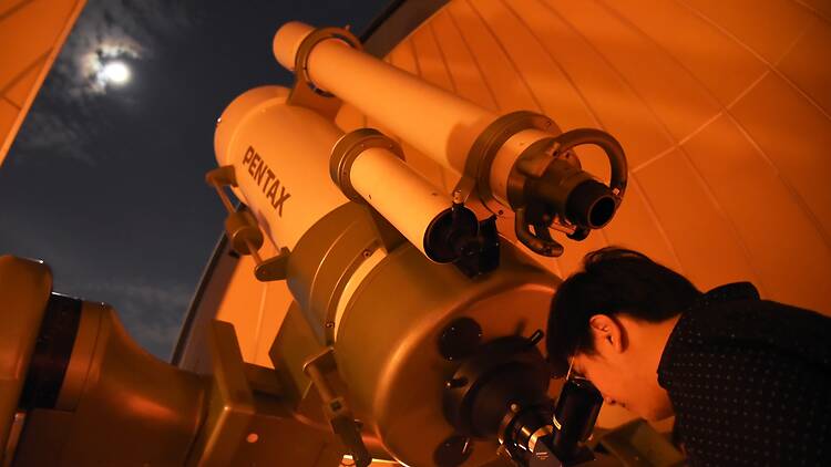 Look up at the night sky