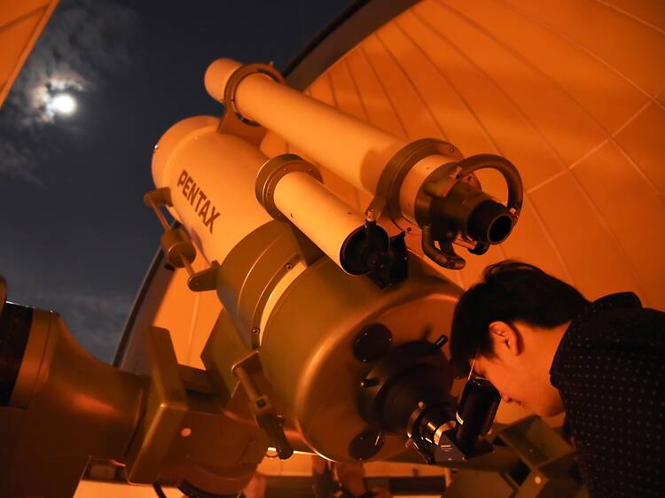 Look up at the night sky