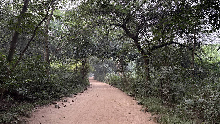Where to trek and camp in the Aravallis Where to trek and camp in the Aravallis