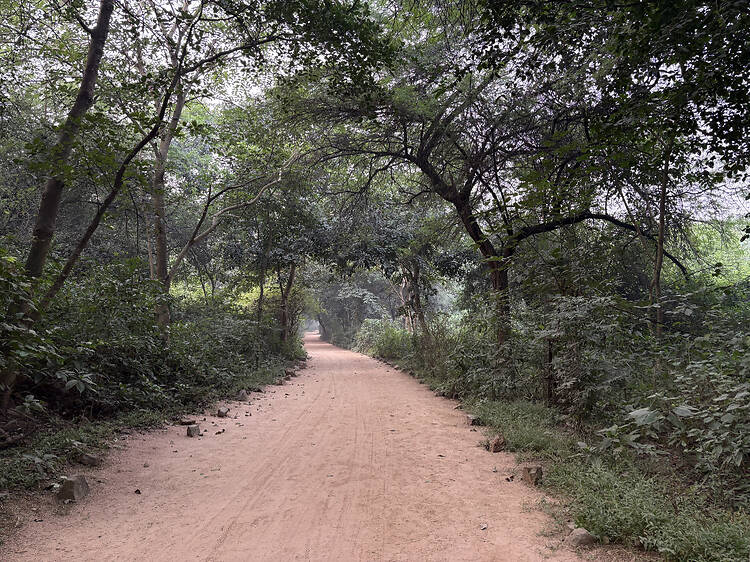Where to trek and camp in the Aravallis Where to trek and camp in the Aravallis