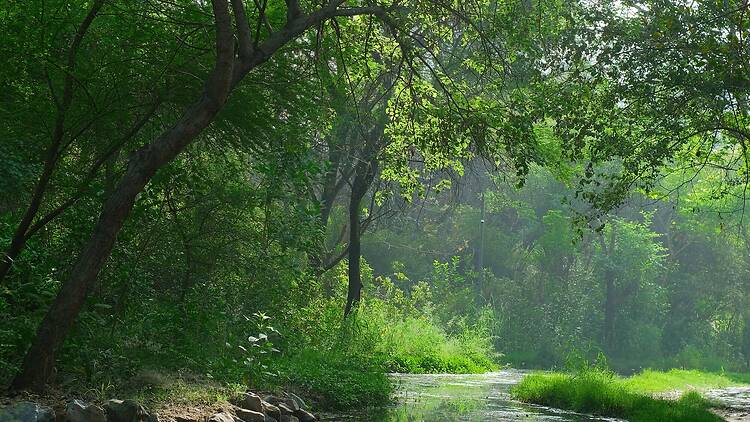 The best lakes to picnic by in the Aravallis The best lakes to picnic by in the Aravallis