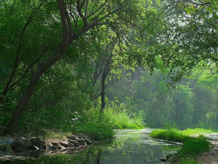 The best lakes to picnic by in the Aravallis The best lakes to picnic by in the Aravallis