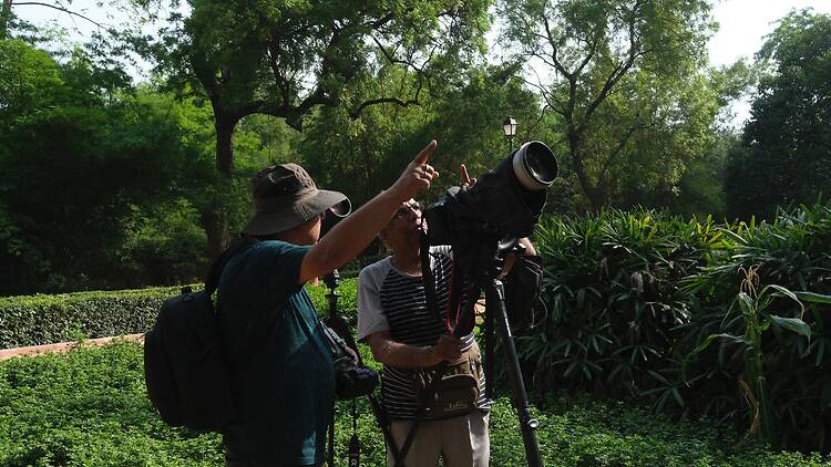 Where to birdwatch Where to birdwatch