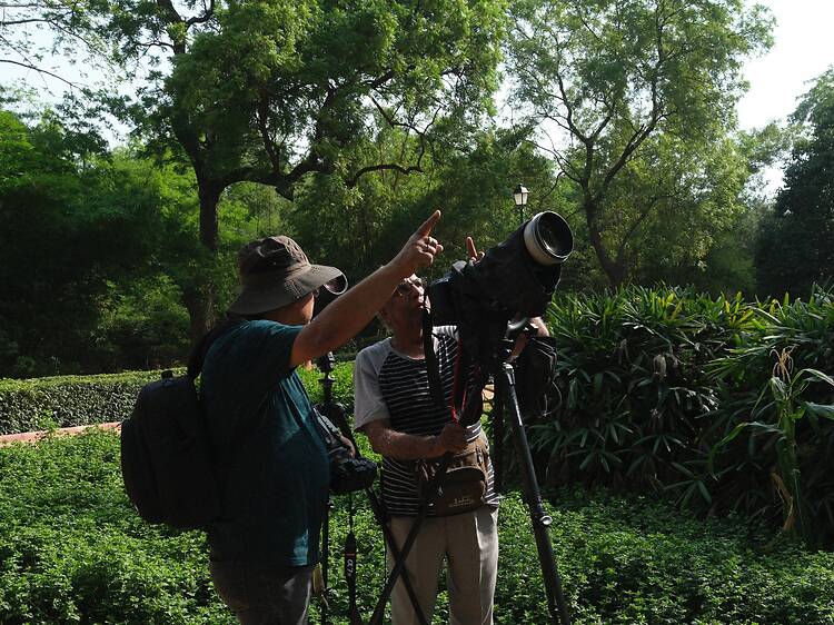 Where to birdwatch Where to birdwatch