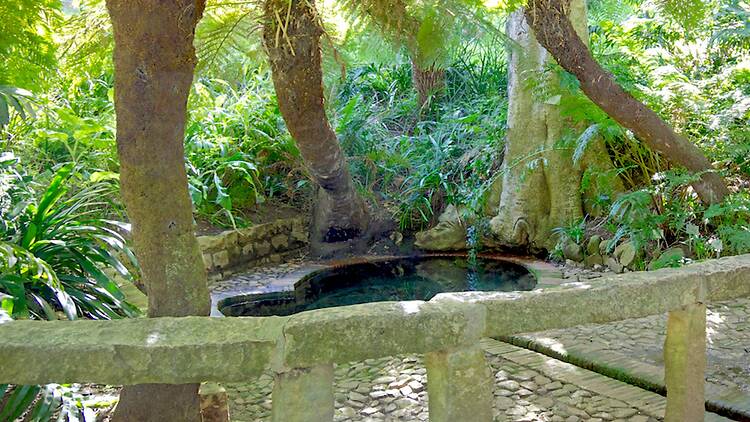 Discover the garden’s oldest corner