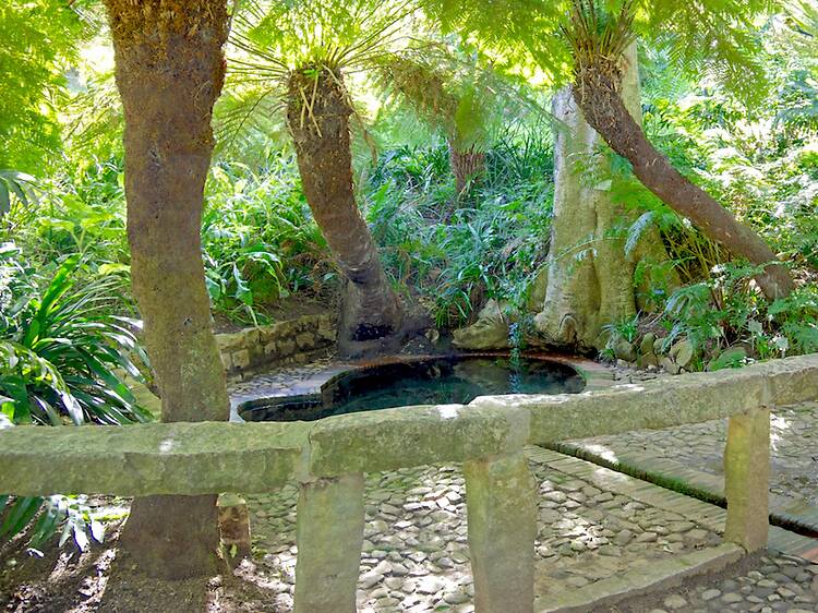 Discover the garden’s oldest corner