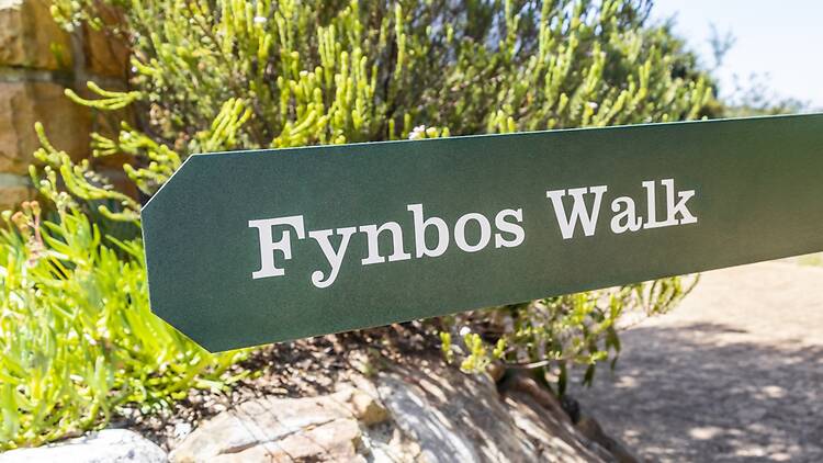 Find out about fynbos