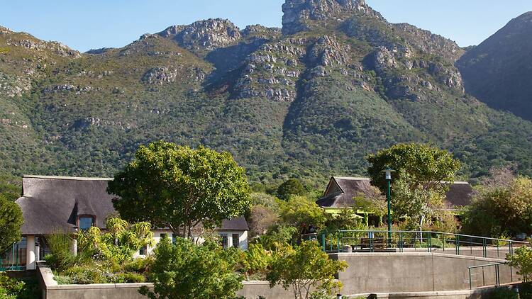 Where to eat in Kirstenbosch
