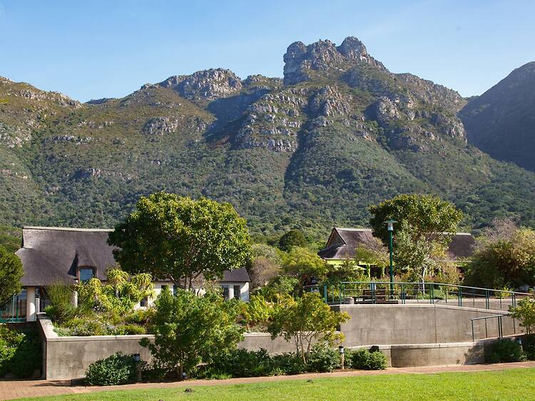 Where to eat in Kirstenbosch