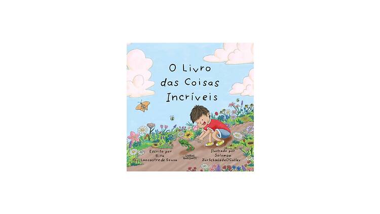 O Livro das Coisas Incríveis O Livro das Coisas Incríveis
