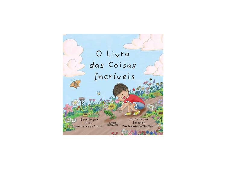 O Livro das Coisas Incríveis O Livro das Coisas Incríveis