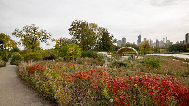 Lincoln Park