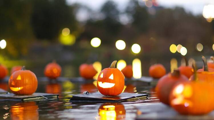 Pumpkin Flotilla in Central Park Pumpkin Flotilla in Central Park