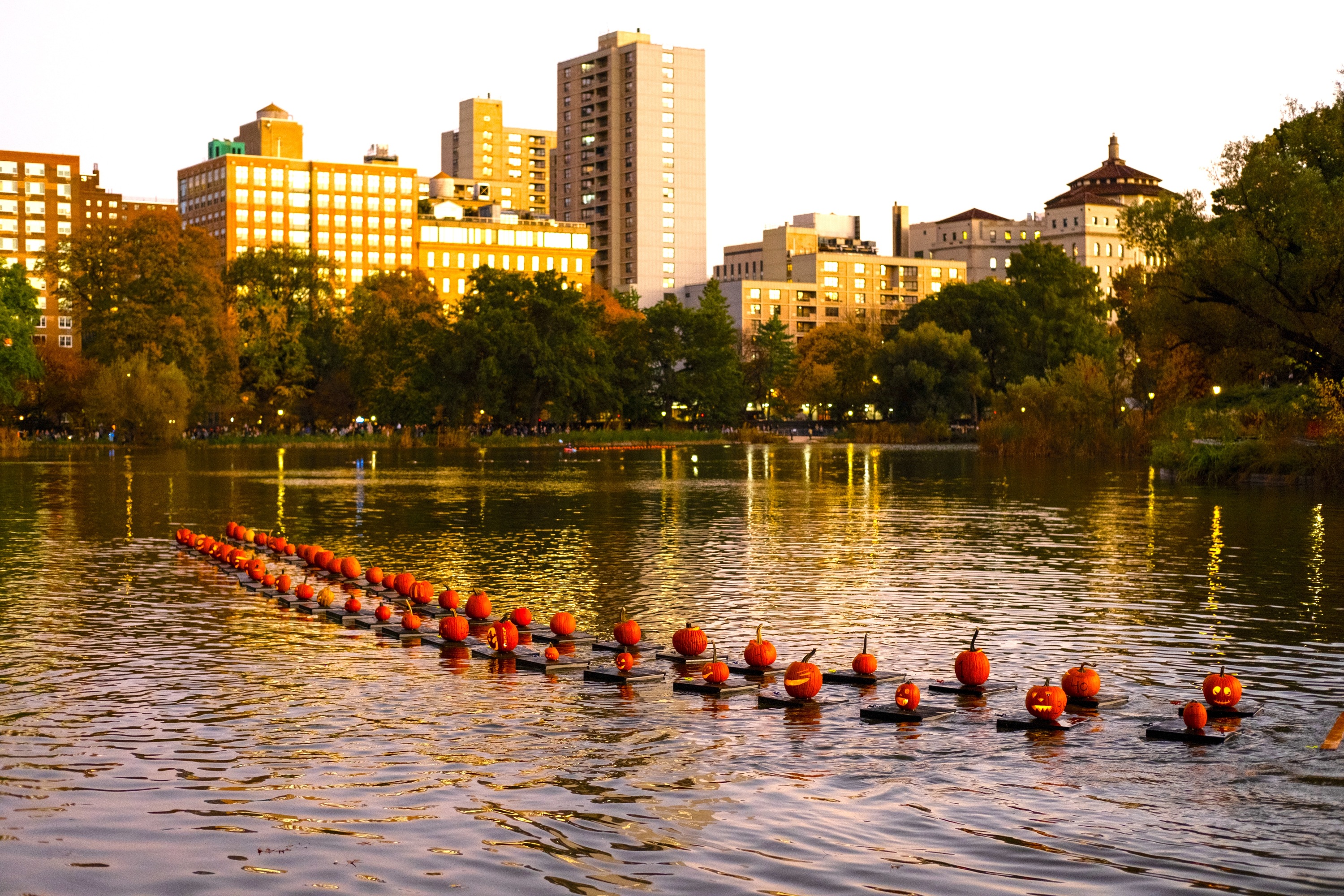 Pumpkins floating on lake at dusk