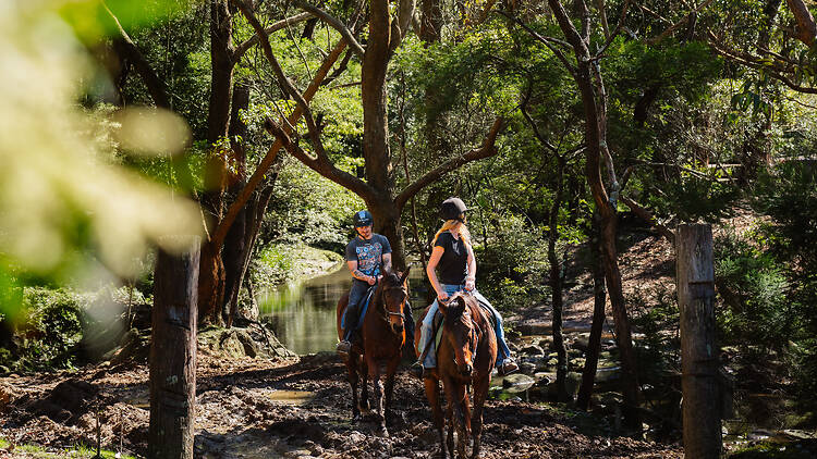 Horseback riding in Wollongong Horseback riding in Wollongong