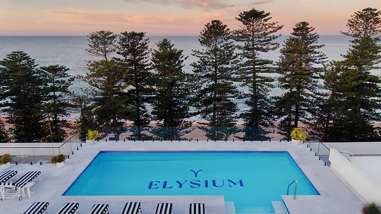 Elysium Manly 