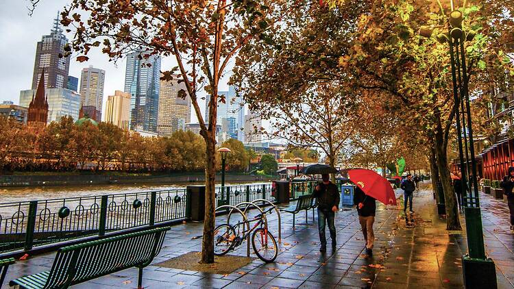 Rainy day in Melbourne