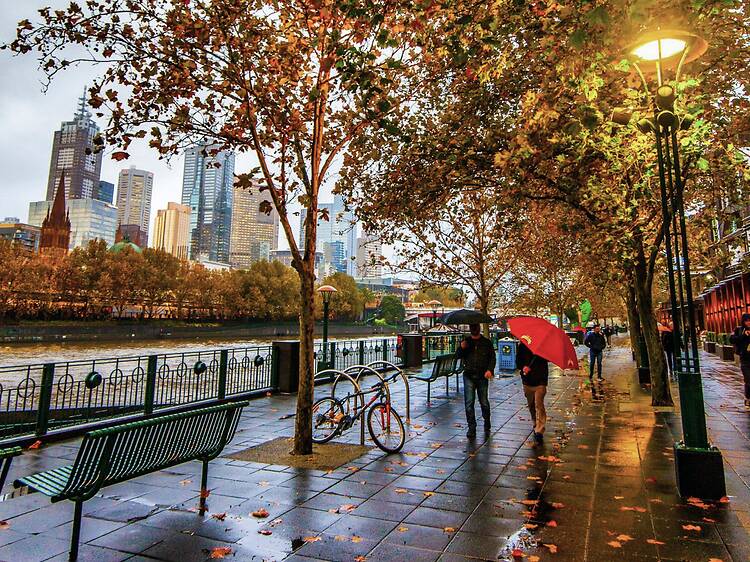 Melbourne has been named the 3rd-most climate-resilient city on Earth