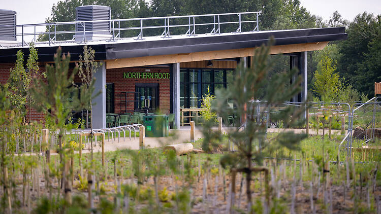 Northern Roots Northern Roots
