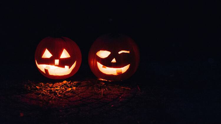 Some spooky fun in the KZN Midlands this Halloween. Some spooky fun in the KZN Midlands this Halloween.