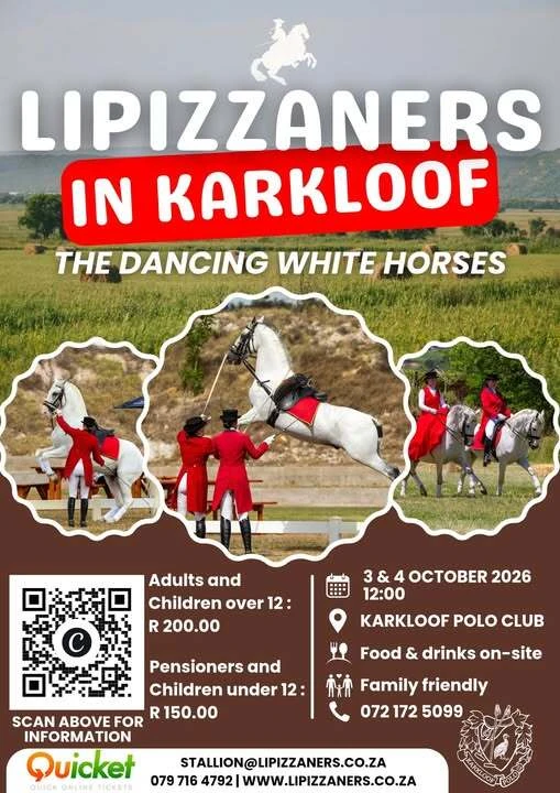 Don't miss these beautiful horses. 