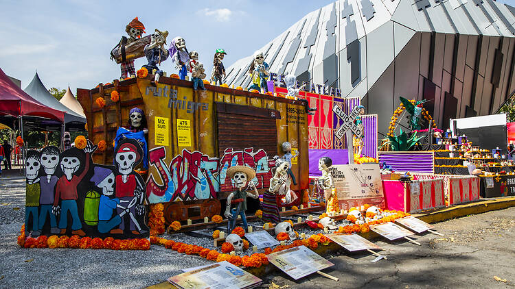 Megaofrenda UNAM 2026 Megaofrenda UNAM 2026