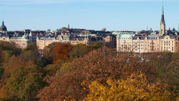 Panoramic View of Stockholm Cityscape in Autumn Foliage Panoramic elevated view of Stockholm's historic architecture and church spires surrounded by autumn tree foliage in vibrant gold and orange under a clear blue sky.