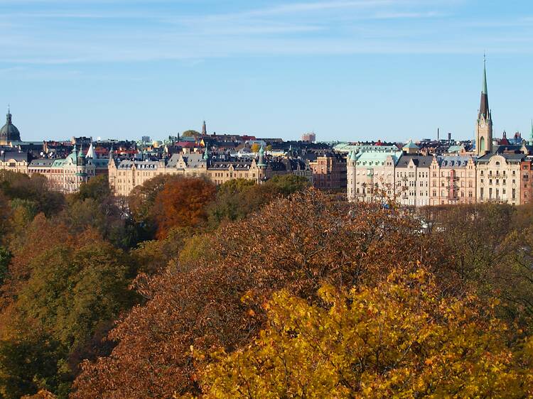 Stockholm’s best autumn markets and harvest festivals
