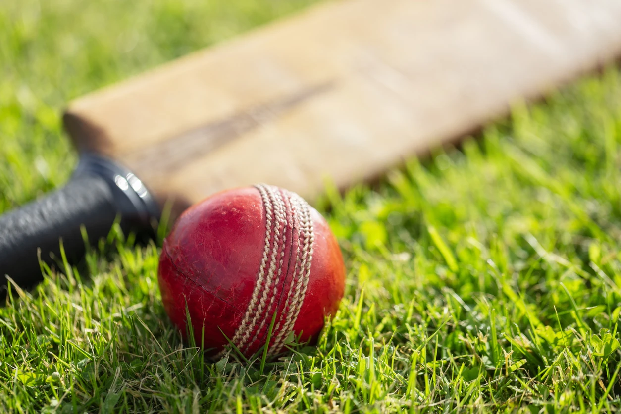 Don't miss the cricketing action at Kingsmead this Heritage Day. 