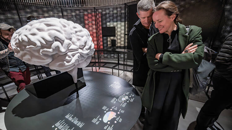 Un cerebro con tiempo propio