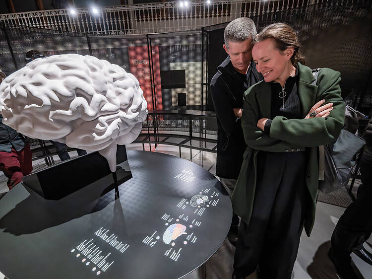 Un cerebro con tiempo propio