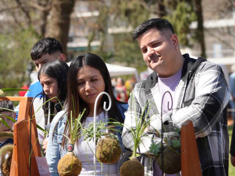 Botanical Garden Fair Botanical Garden Fair