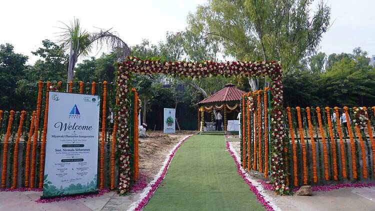 Delhi's Miyawaki forest, Bharat Vann, was inaugurated this week Delhi's Miyawaki forest, Bharat Vann, was inaugurated this week
