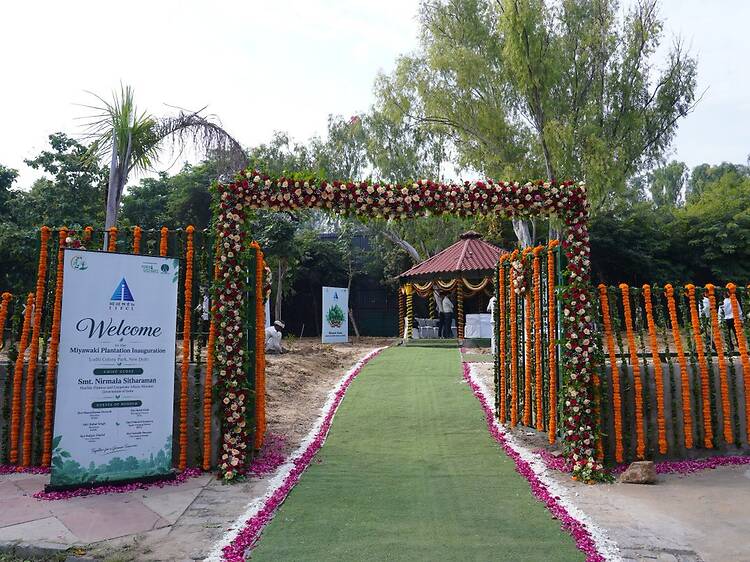 A Japanese-style Miyawaki forest is growing in Lodhi Colony