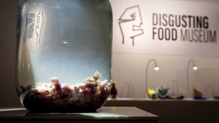 Disgusting Food Museum Disgusting Food Museum