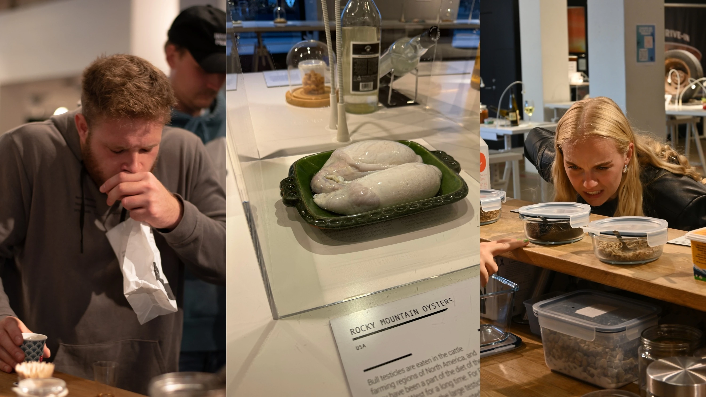 Disgusting Food Museum