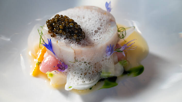 Beautiful looking dish of fish at the Michelin restaurant Finnjävel
