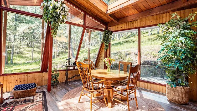 Best for wildlife watching: The pretty cabin with wall-to-wall windows Best for wildlife watching: The pretty cabin with wall-to-wall windows