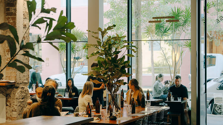 Paramount Coffee Project