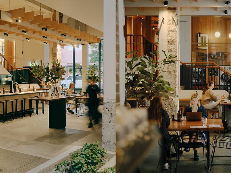 Paramount Coffee Project Paramount Coffee Project